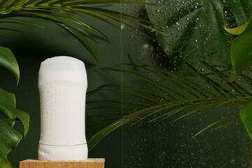 Deodorant on wooden podium with tropic leaves and water drops, body care product on green background