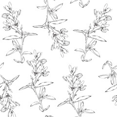 Seamless pattern of spring and summer flowers. Hand drawn wildflowers. Line art. The theme of ecology and conservation. For paper, cover, fabric, gift wrap. Vector illustration
