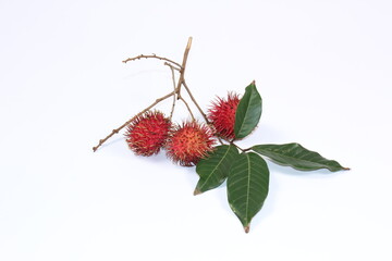 Rambutan fruit