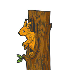 squirrel in a hollow sketch vector illustration