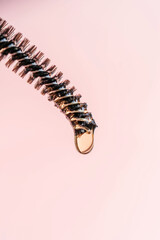 A drop of oil for eyebrows and eyelashes falls from the brush