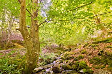 Sierra de la Demanda Protected Area, Sistema Iberico La Rioja, Spain, Europe