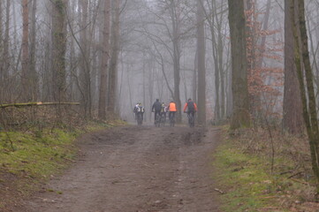 bikers in nature area the kruisbergse Bossen on a misty day