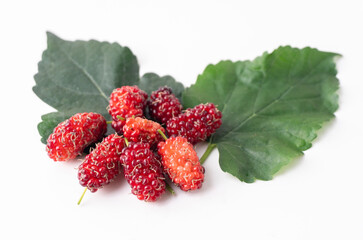 Group of ripe mulberries are placed on the leaves isolated on a white background.