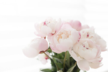 Romantic peonies on a light background. Feminine bouquet for a wedding or birthday.