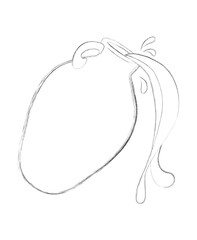 Contour line drawing. Ceramic jug. An earthenware pitcher of water. Water is pouring. Liquid dishes. Ceramics. Isolated, white. Illustration