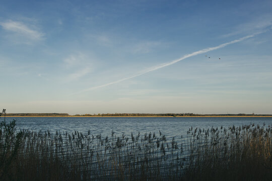 View of Lake Durbe with reeds in the foreground. Blue water and sky without big clouds with airplane tracks.
