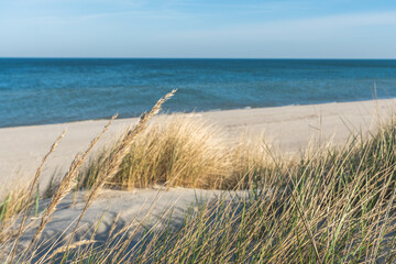 Fototapeta na wymiar Beautiful calm blue sea with waves and sandy beach with reeds and dry grass among the dunes, travel in summer and holidays concept