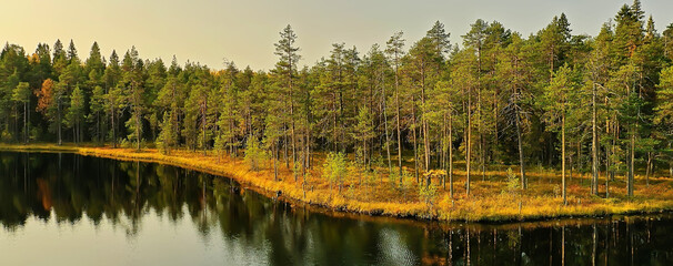 river autumn view from drone forest, landscape panorama aerial view