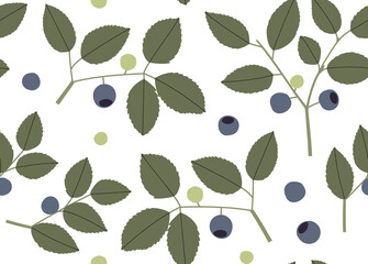 Forest blueberry or bilberry vector seamless pattern with branches, leaves and berries color hand drawn illustration. Isolated on white background.