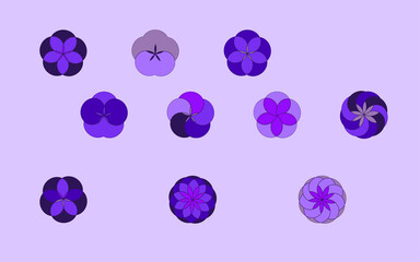 Set of small round purple flowers