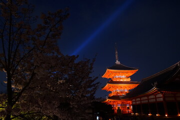 Obraz premium Three-story pagoda at Kiyomizu-dera Temple with Sakura, cherry blossoms at night in Kyoto prefecture, Japan - 日本 京都 清水寺 三重塔 夜景
