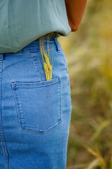 Ears of ripe wheat in the back pocket of her denim skirt. Rural landscape. Summer mood.