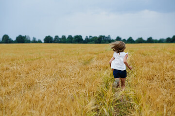 A little girl in a white T-shirt and shorts runs through a wheat field against a cloudy sky. Summer rural landscape.