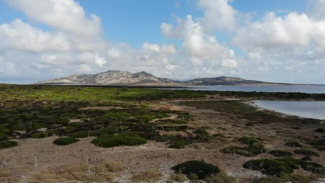 Asinara