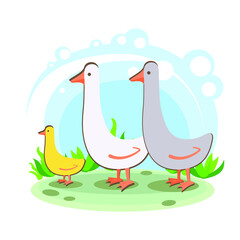 Obraz na płótnie Canvas geese family. Cartoon children's style. Character in location. Glade with plants and sky. simplified style. Vector stock illustration. farm bird 