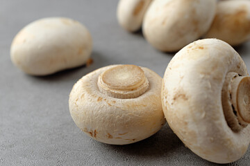 Edible small white button mushrooms