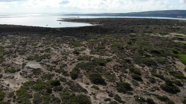 Asinara