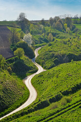Grodzisko Stradów Poland winding road landscape meadows 