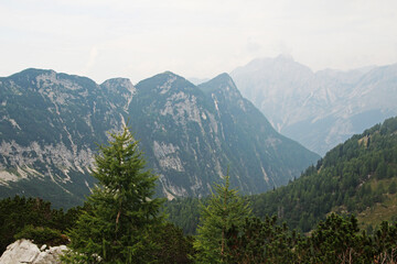 Fototapeta na wymiar Triglav National Park panorama, Slovenia
