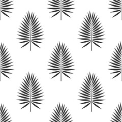 Palm leaves black and white seamless pattern.