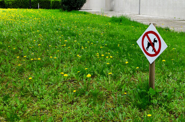 Closeup of sign No Dogs.Green lawn in the park and sign of No Dogs Walking.Empty space