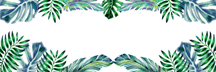 Fototapeta na wymiar Watercolor horizontal frame with a pattern of tropical dark green palm leaves, banana, monstera on a white background. Botanical illustration. Horizontal background with exotic hand-drawn leaves.