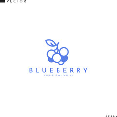 Blueberry logo. Isolated berries on white background. Line art