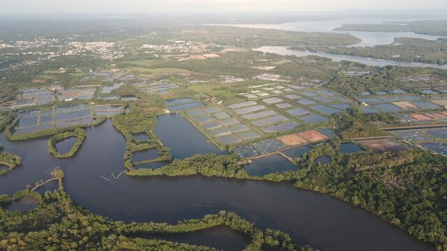 Aerial drone shot of fertile organized agricultural field with different types of plants and watering method focusing on the river that flowing through showing also fish and shrimp, prawn farming