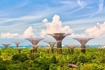  Singapore Supertrees Grove at the Gardens by the Bay © Oleksandr Dibrova