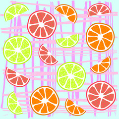 Lemon orange and grapefruit slices. Vector illustration. Doodle style.