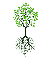 Green Tree. Vector outline image.