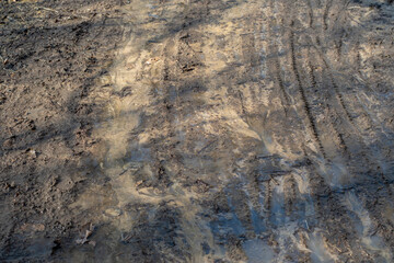 Wet road covered with mud with shadows of trees