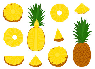 Pineapple vector illustration. Set summer fruits slices