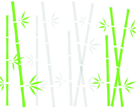 bamboo background © daisylove
