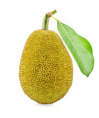 Young jackfruit isolated on white background