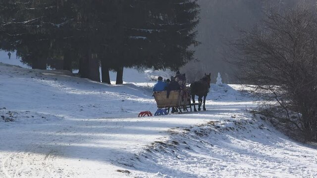 Horse-drawn carriage move on winter alley, rustic tourism