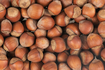 Unpeeled hazelnuts background texture. hazelnuts in shell