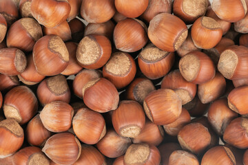 Unpeeled hazelnuts background texture. hazelnuts in shell