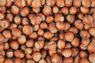 Unpeeled hazelnuts background texture. hazelnuts in shell