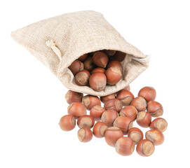 Unpeeled hazelnuts in a burlap bag on a white background. hazelnuts in shell