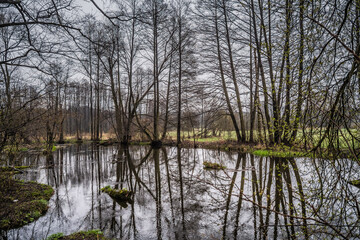 W oczekiwaniu na nadchodzącą wiosnę © BeNatural