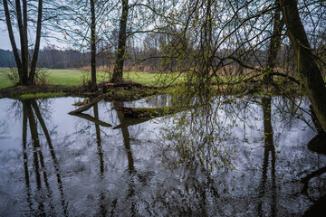 W oczekiwaniu na nadchodzącą wiosnę © BeNatural