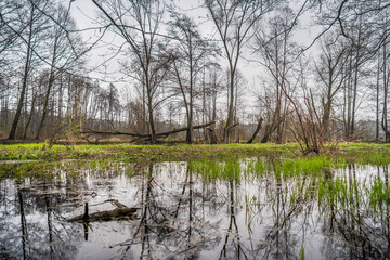 W oczekiwaniu na nadchodzącą wiosnę © BeNatural
