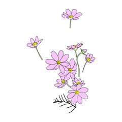 Abstract continuous line drawing. The beautiful flowers.