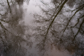 Odbicie w tafli wody © BeNatural