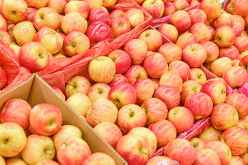 Naklejka na ściany i meble Food background red with yellow apples in boxes, fruits on a store shelf close-up
