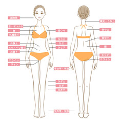 水着を着た女性の全身イラスト　脱毛箇所のイメージ　正面と後ろ姿  01