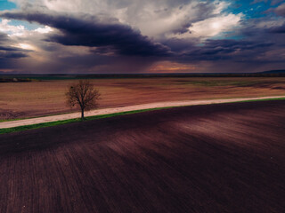 Landscape of trees. Sunset out of town
