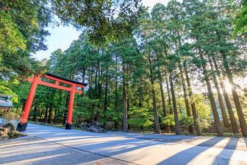 霧島神宮と御来光　鹿児島県霧島市　Kirishima Jingu and Sunrise Kagoshima-ken Kirishima city	